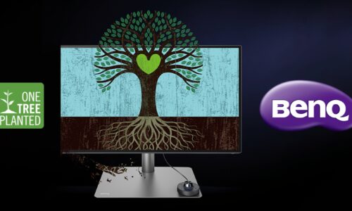 A BENQ AZ INSPIRED BY NATURE PÁLYÁZATON KERESZTÜL TÁMOGATJA A ONE TREE PLANTED KEZDEMÉNYEZÉST