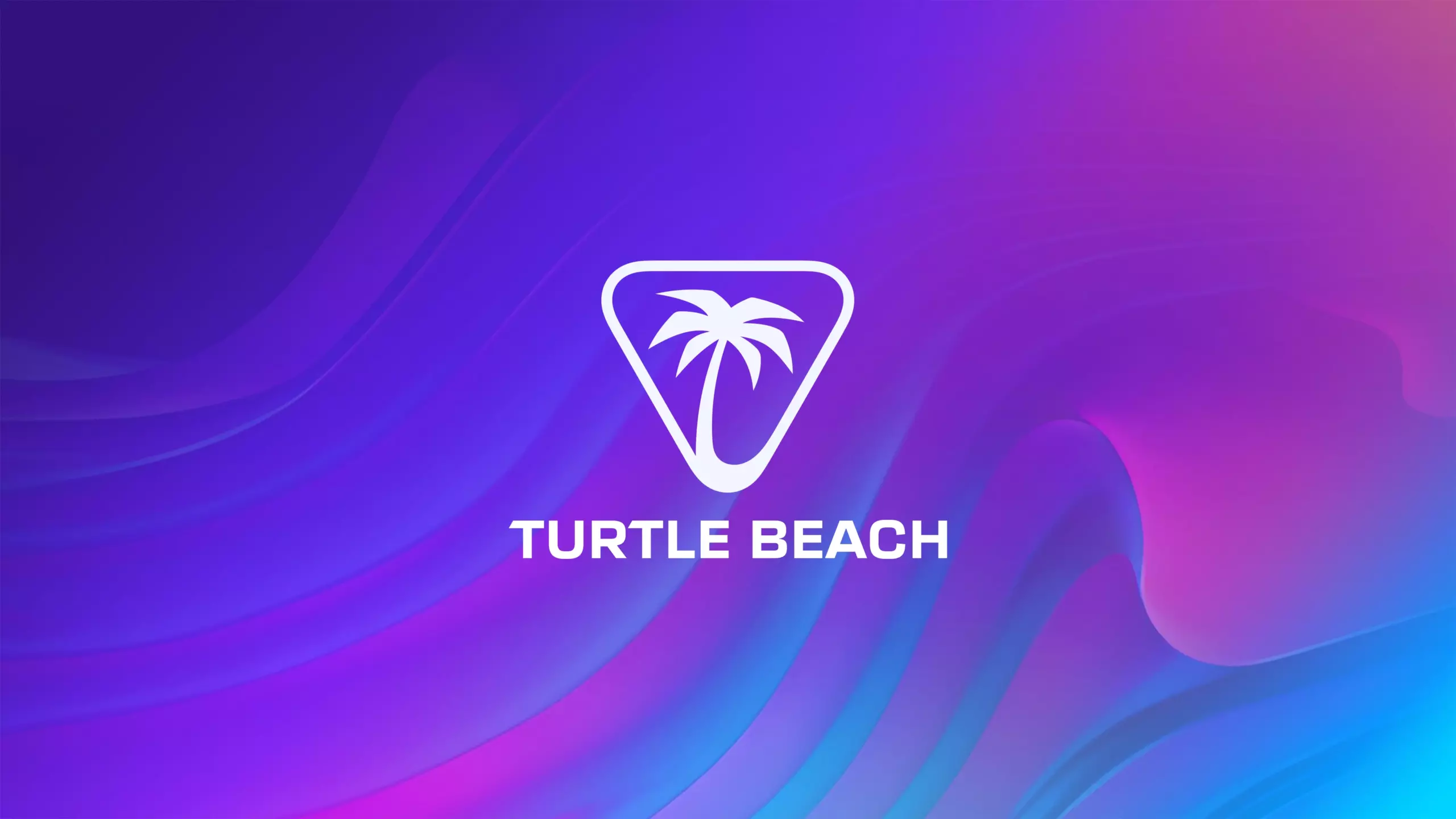 A TURTLE BEACH AZ EGYIK VEZETŐ JÁTÉKESZKÖZ-GYÁRTÓ VÁLLALAT